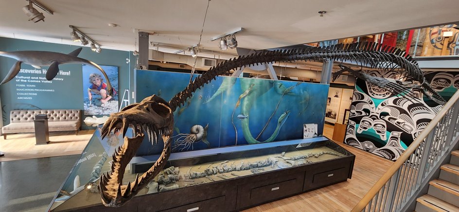 Traskasaura sandra Traskasaura sandra