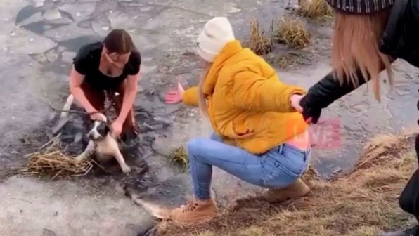 В Подмосковье мать троих детей спасла собаку из ледяной воды