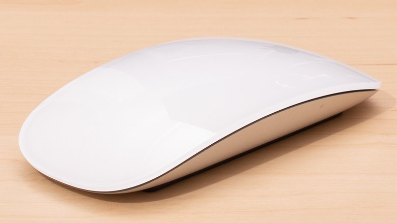 Так выглядит Apple magic mouse. Фото: rtings