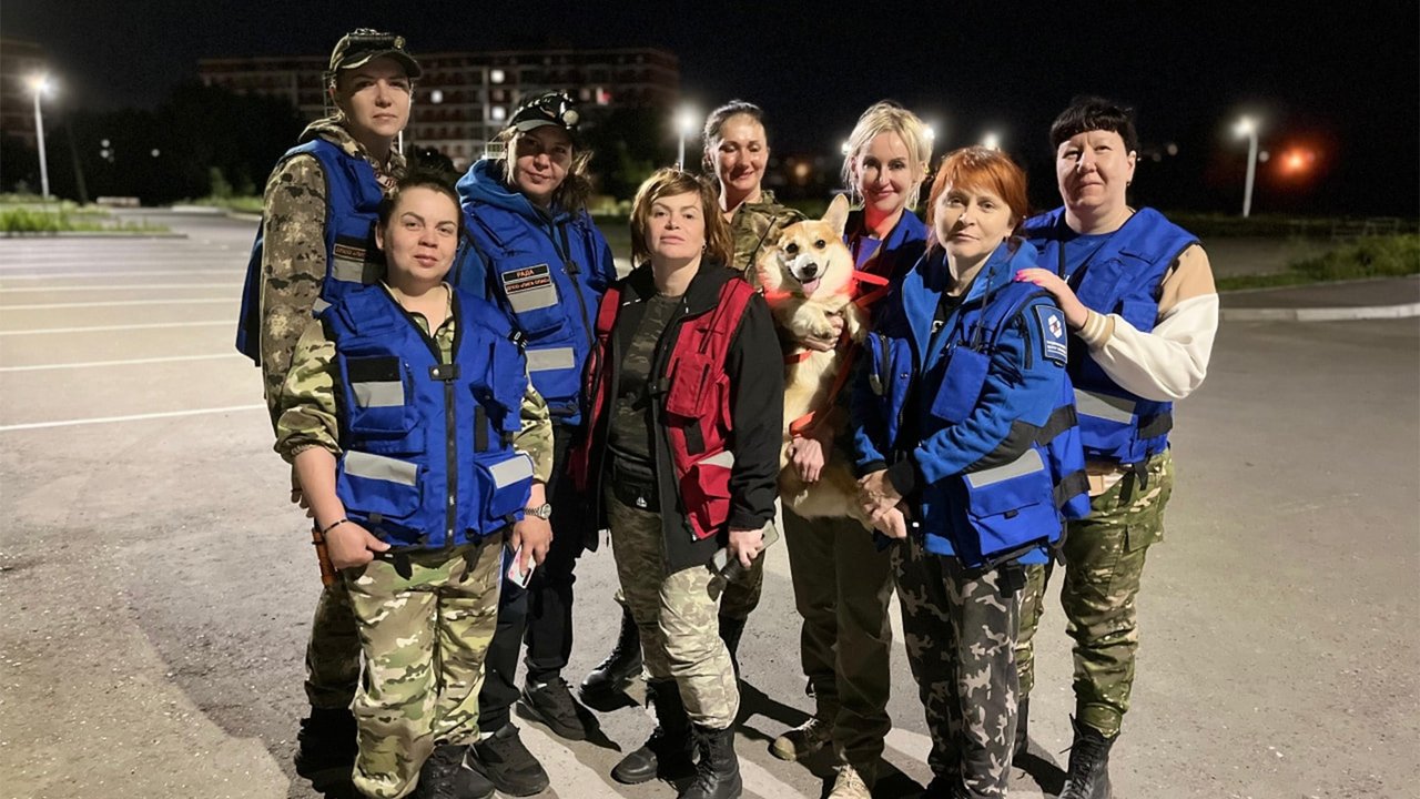 Корги вместе с поисковой группой