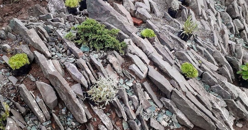 Альпийская горка своими руками: как построить, декорировать и ухаживать (70 фото)