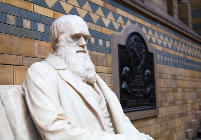 Чарльз Дарвин в Национальный музей истории, памятник является одним из самых любимых музея для семей в Лондоне. — Фото irstone / Depositphotos