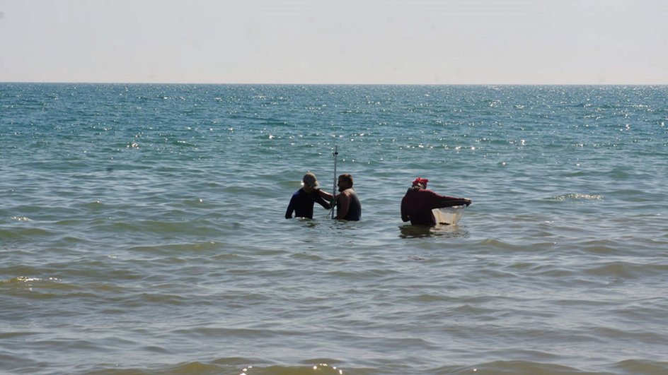 дайверы в море дайверы в море