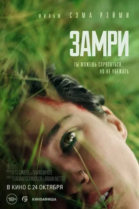 Замри: постер