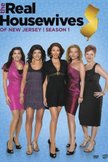 Постер Настоящие домохозяйки Нью-Джерси: 1 сезон