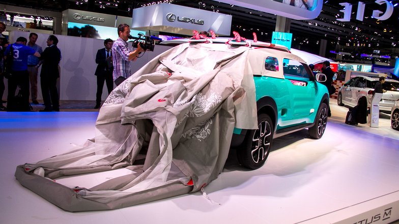 slide image for gallery: 17941 | Citroen Cactus M