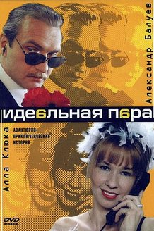 Идеальная пара: постер