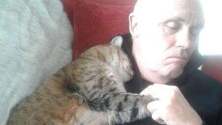 Мужчина уснул, а проснулся с котиком на груди