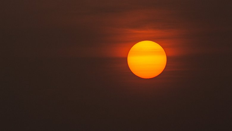 В этом году на Землю обрушилась аномальная жара.