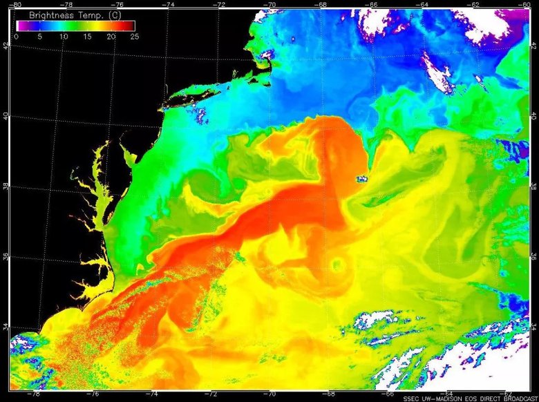 Гольфстрим (красный цвет) переносит теплую воду вверх по восточному побережью США, где она сталкивается с холодной водой в Северной Атлантике. Фото: NASA Earth Observatory