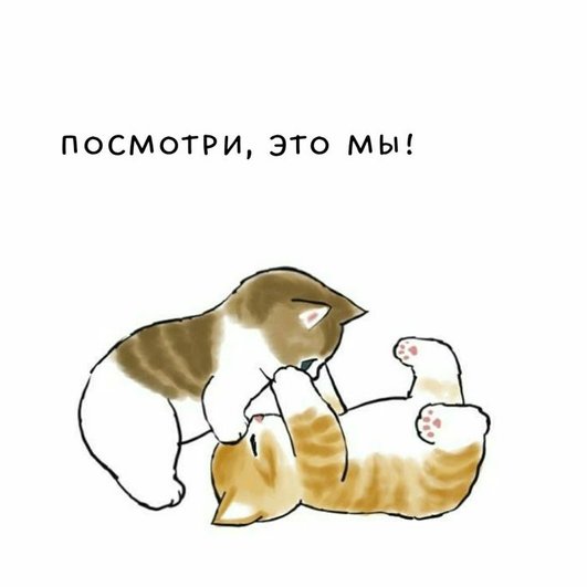 И отправить добрый мем про котиков И отправить добрый мем про котиков