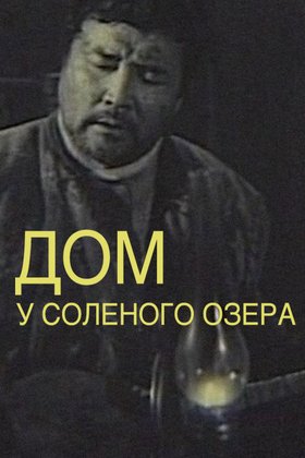 Дом у соленого озера: постер