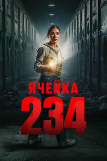 Постер фильма «Ячейка 234»