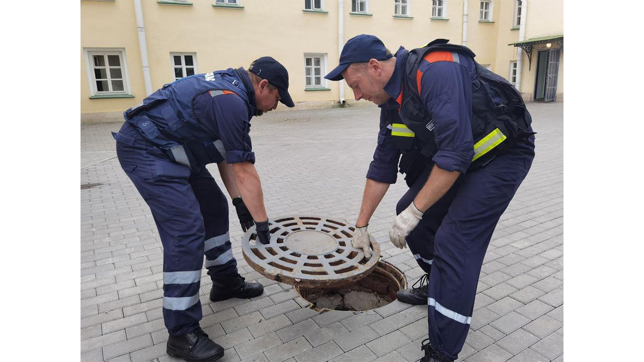 В Сергиевом Посаде вернули матери утят, провалившихся в ливневку