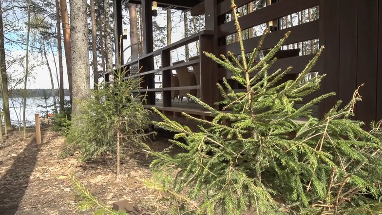 Беседка рядом с домом Гордона. Фото: «Идеальный ремонт»