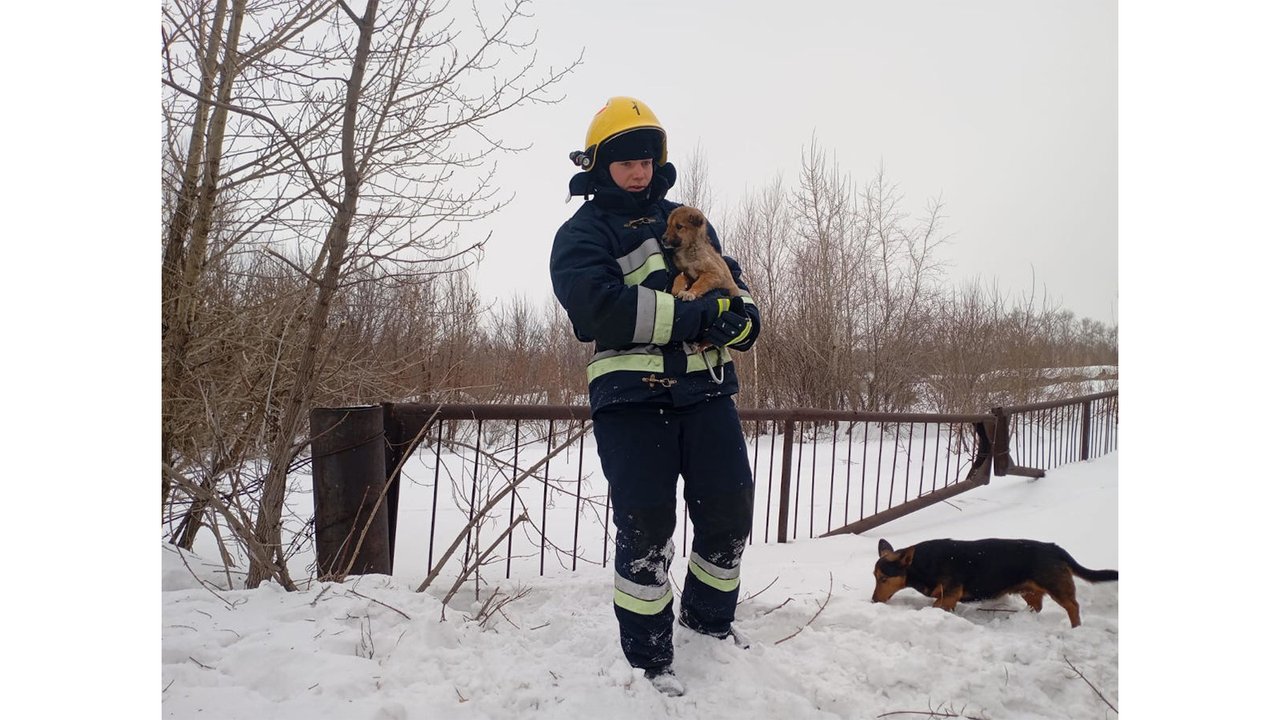 Спасатели достали щенка из подземной ловушки Спасатели достали щенка из подземной ловушки