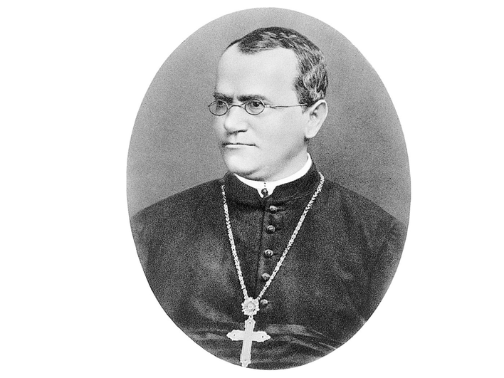 Грегор Мендель — основоположник генетики