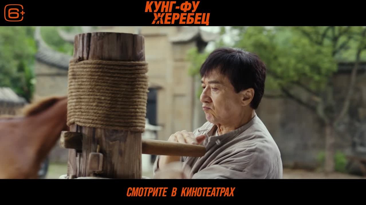 Кунг-фу жеребец