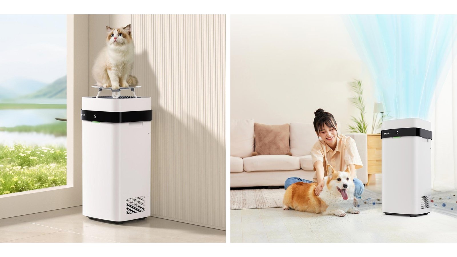 Что известно о Beon X3 Pet Air Purifier — новом очиститель воздуха от  Xiaomi - Hi-Tech Mail.ru