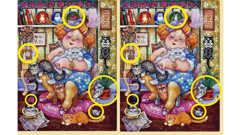 Женщина с 5 кошками Женщина с 5 кошками