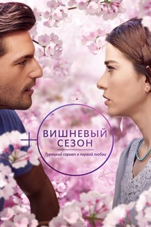Вишневый сезон: постер