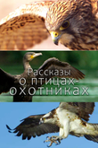 Постер к шоу «Рассказы о птицах-охотниках»