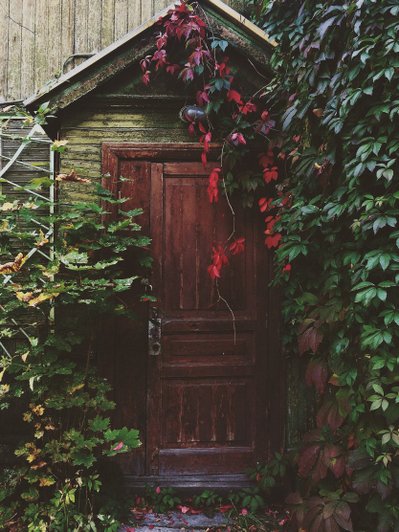 Осень, дверь, сад