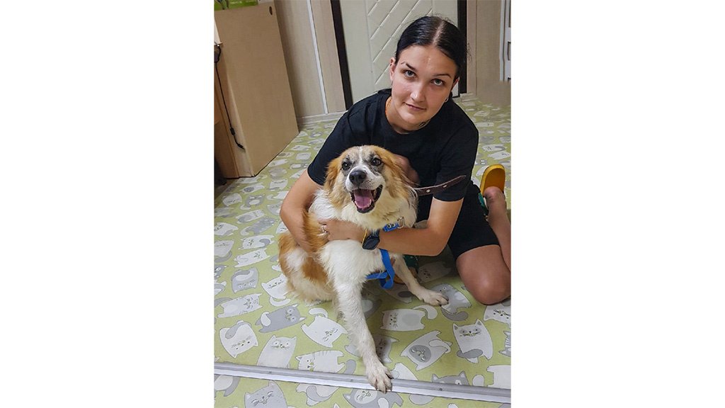 Dog Dog