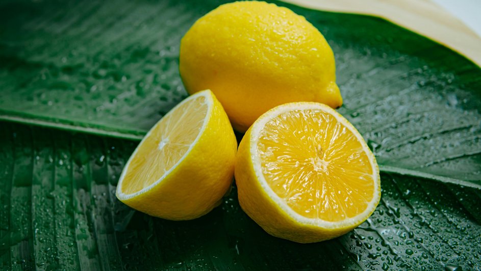 Лимоны на листе растения