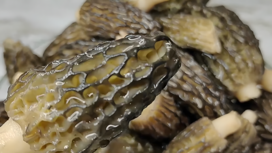 Маринованные сморчки крупным планом Маринованные сморчки крупным планом