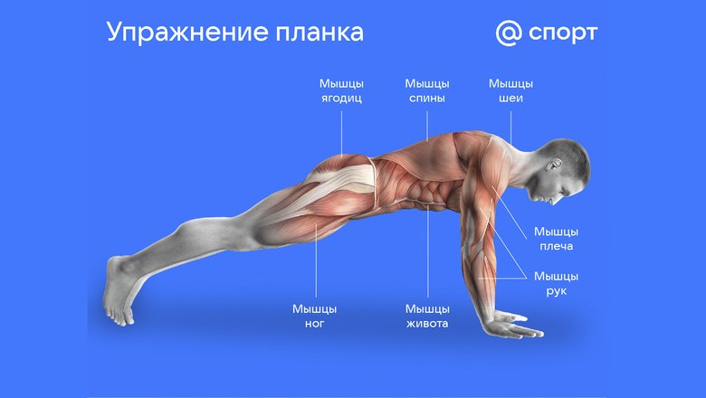 Упражнение планка. Упражнение планка.