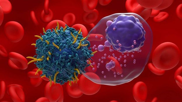 T-cell T-cell