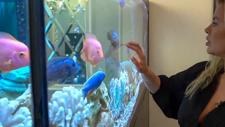 Анна показывает журналистам большой аквариум в квартире
