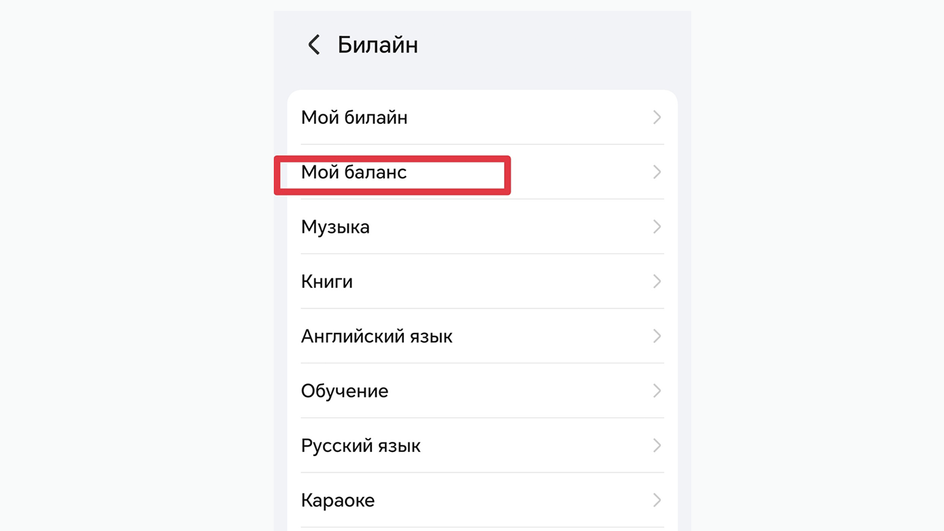 Меню SIM-карты с информацией о балансе «Билайн» Меню SIM-карты с информацией о балансе «Билайн»