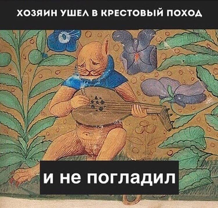 Средневековый кот