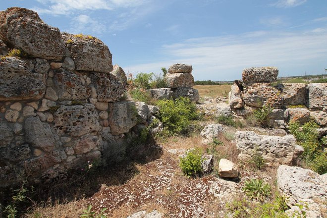 В Крыму нашли фрагмент головы терракотовой фигурки богини Афродиты