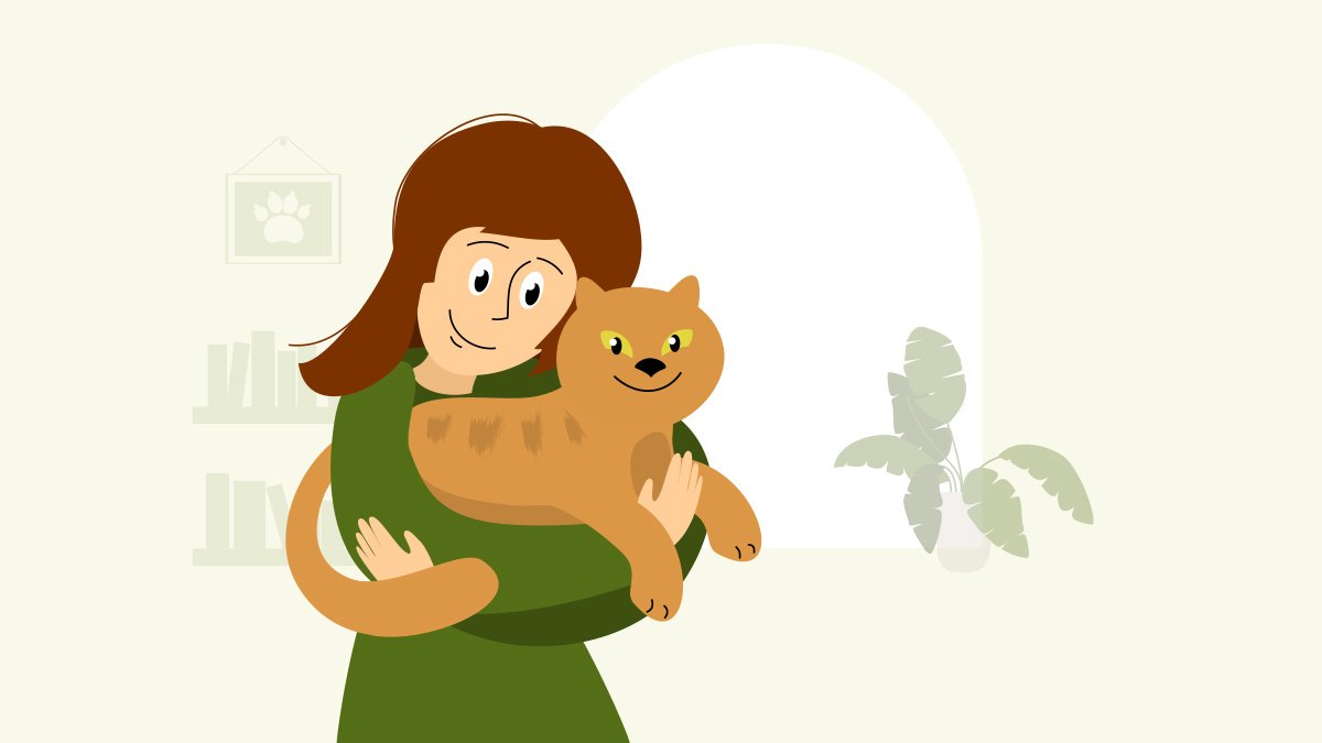 Кошки и человек