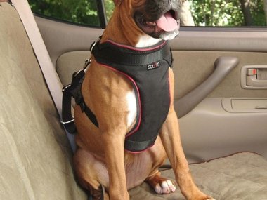 Slide image for gallery: 4517 | Комментарий «Леди Mail.Ru»: не мешает позаботиться и о собаках, которые вполне адекватно, дисциплинированно ведут себя в автомобиле. Речь — о ремнях безопасности. Производители предлагают разные виды таких ремней как в виде