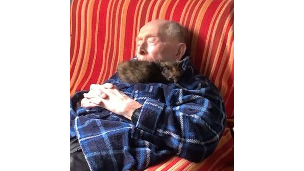 котенок