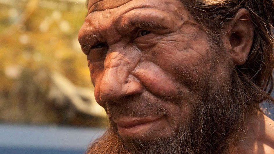 На одном из этапов эволюции параллельно существовали неандертальцы и Homo sapiens На одном из этапов эволюции параллельно существовали неандертальцы и Homo sapiens
