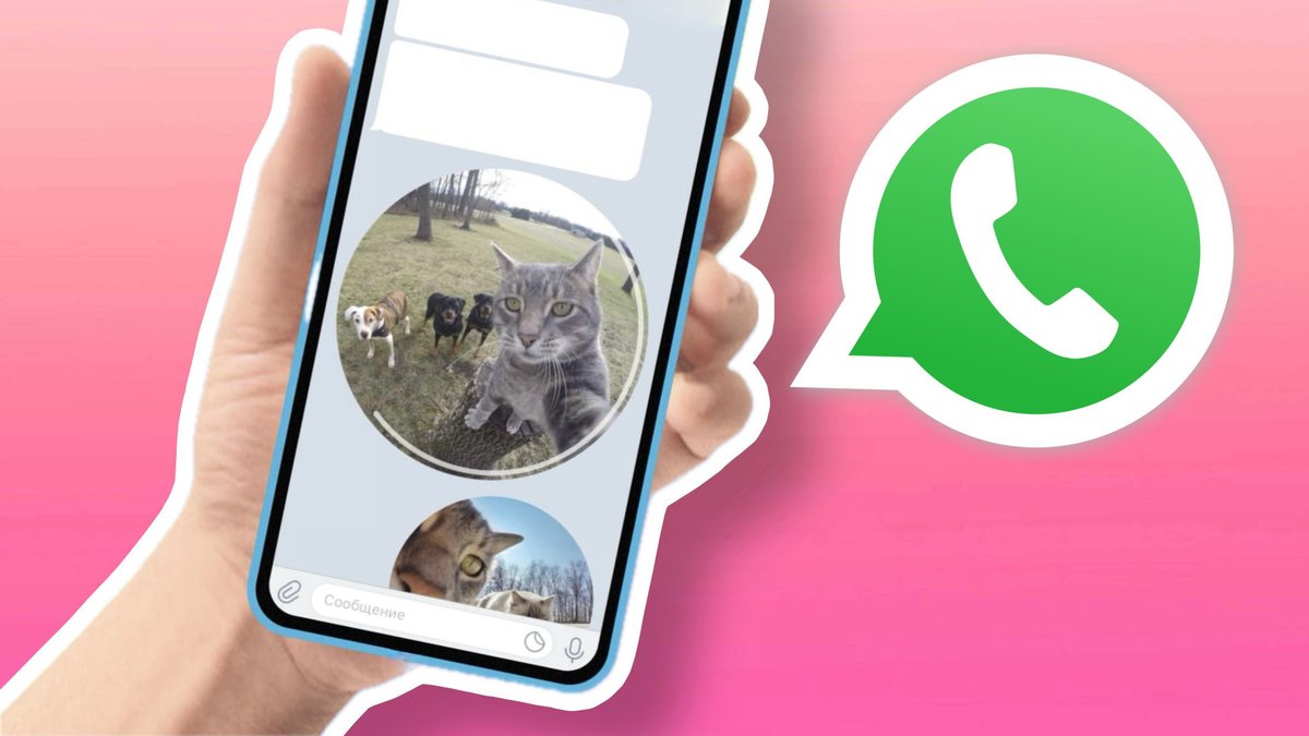 WhatsApp разрешил использовать несколько аккаунтов на одном смартфоне