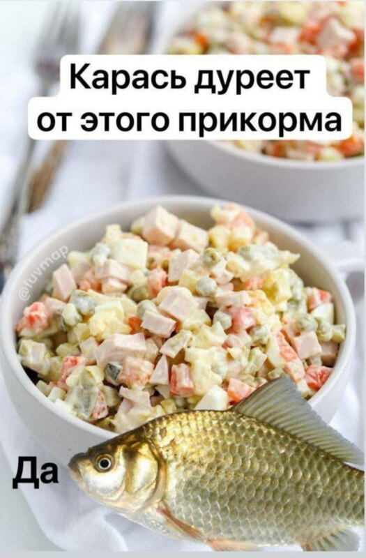 Миска оливье и рыба карась