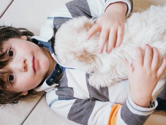 6 советов по воспитанию у ребенка ответственного отношения к животным