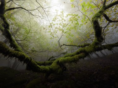 природа Земли на фото участников Canarian Photo Awards 2023
