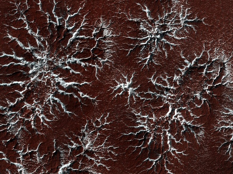Полярные шапки состоят из сухого льда / Фото: NASA/JPL/University of Arizona