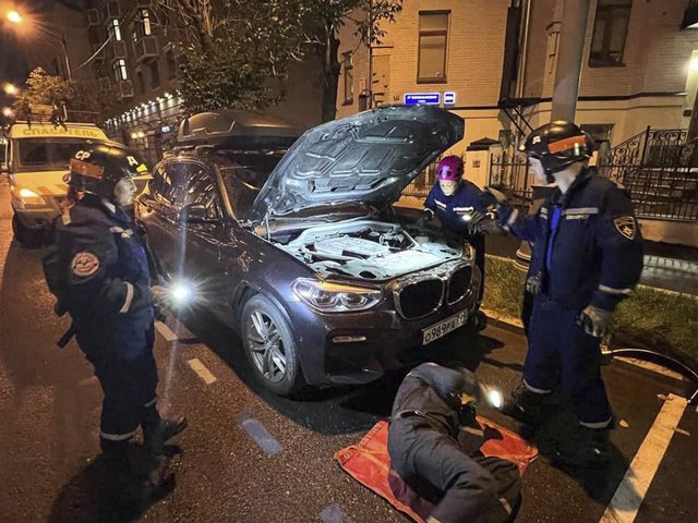 Голос мамы: в Москве спасли котенка, используя хитрый прием