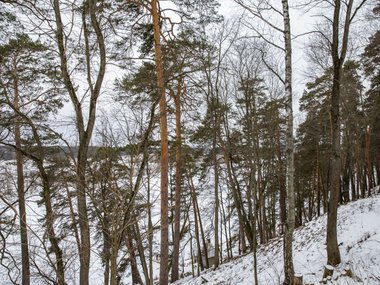 slide image for gallery: 25649 | Лучшие места вдоль трассы М-9 03