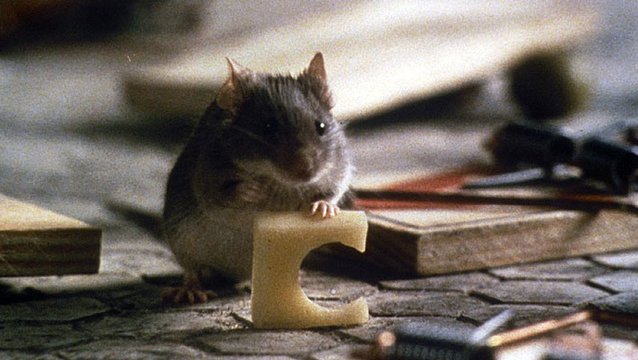 Mousehunt смотреть онлайн