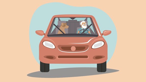 3 веские причины завести собаку. Прямо сейчас