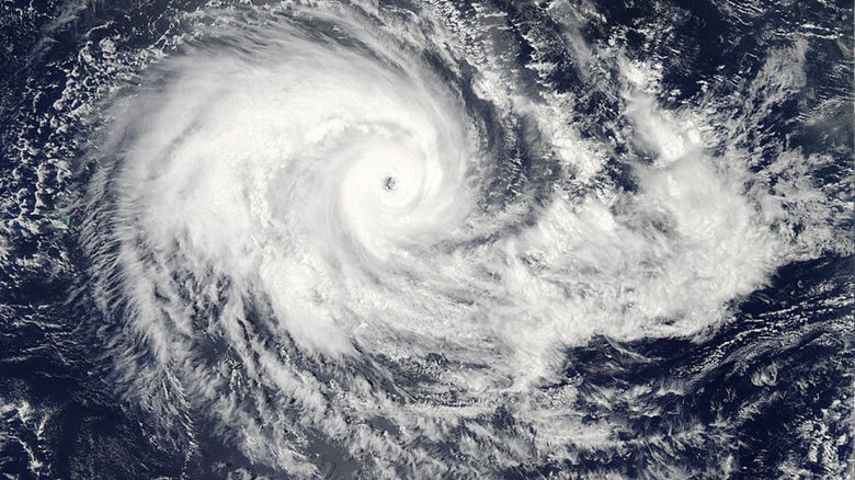 Вид на ураган из космоса. Фото: NASA